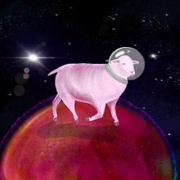 SPACEDISCOSHEEP