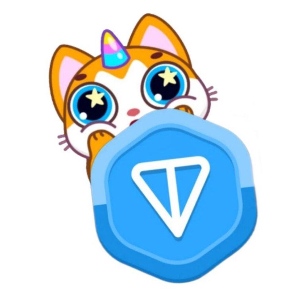 Про Тонкоин и Токены