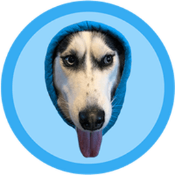 DOGWIFHOOD
