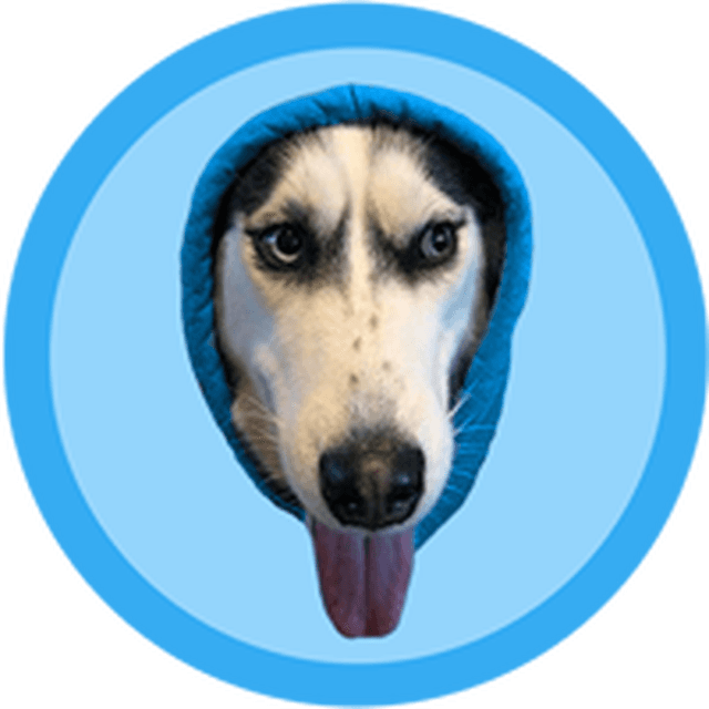 DOGWIFHOOD