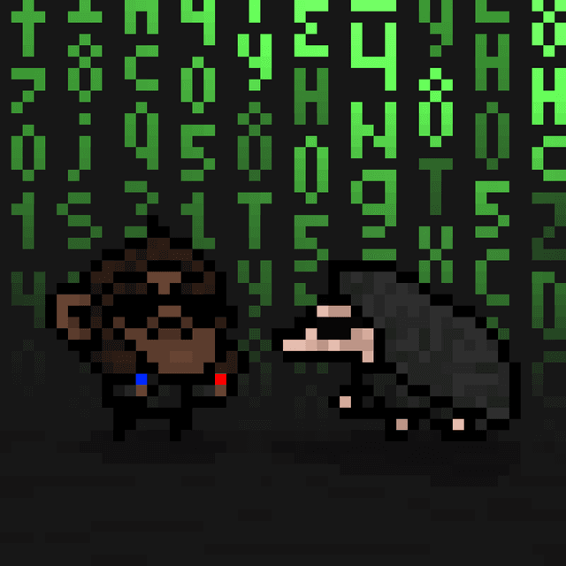 Ton Hedgehog